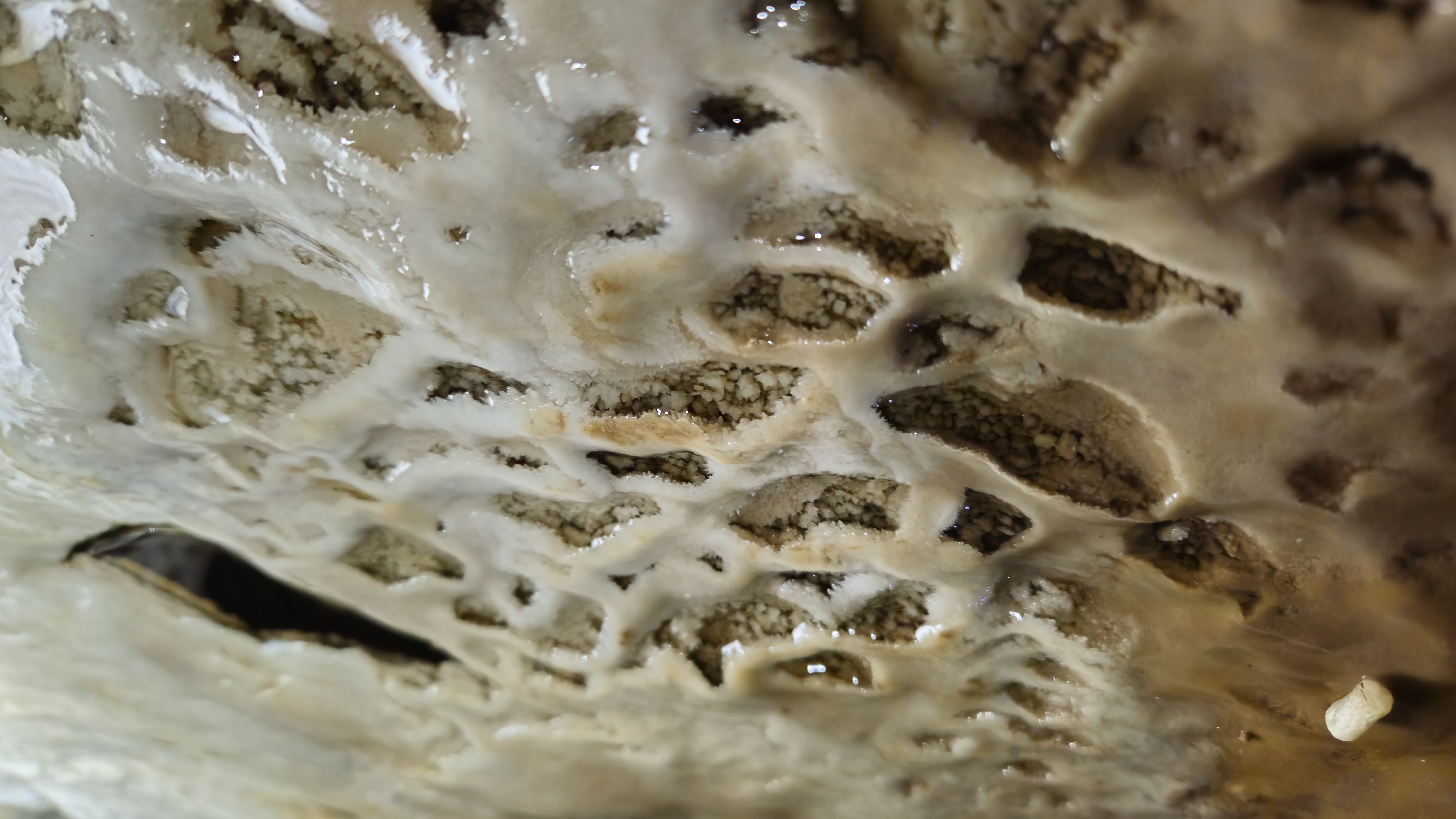 A cave passage with dramatic rock texture