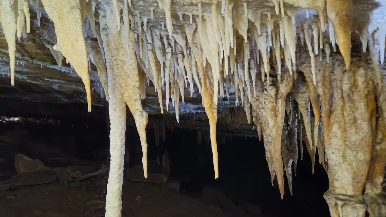 Close view of cave ceiling with long hanging stalactites